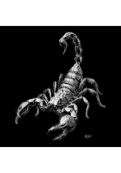 Футболка чоловіча Скорпіон чорна